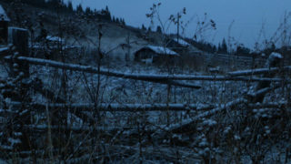 Film still of the film Les Forêts sombres, directed by Stéphane Breton, Visions du Réel 2017