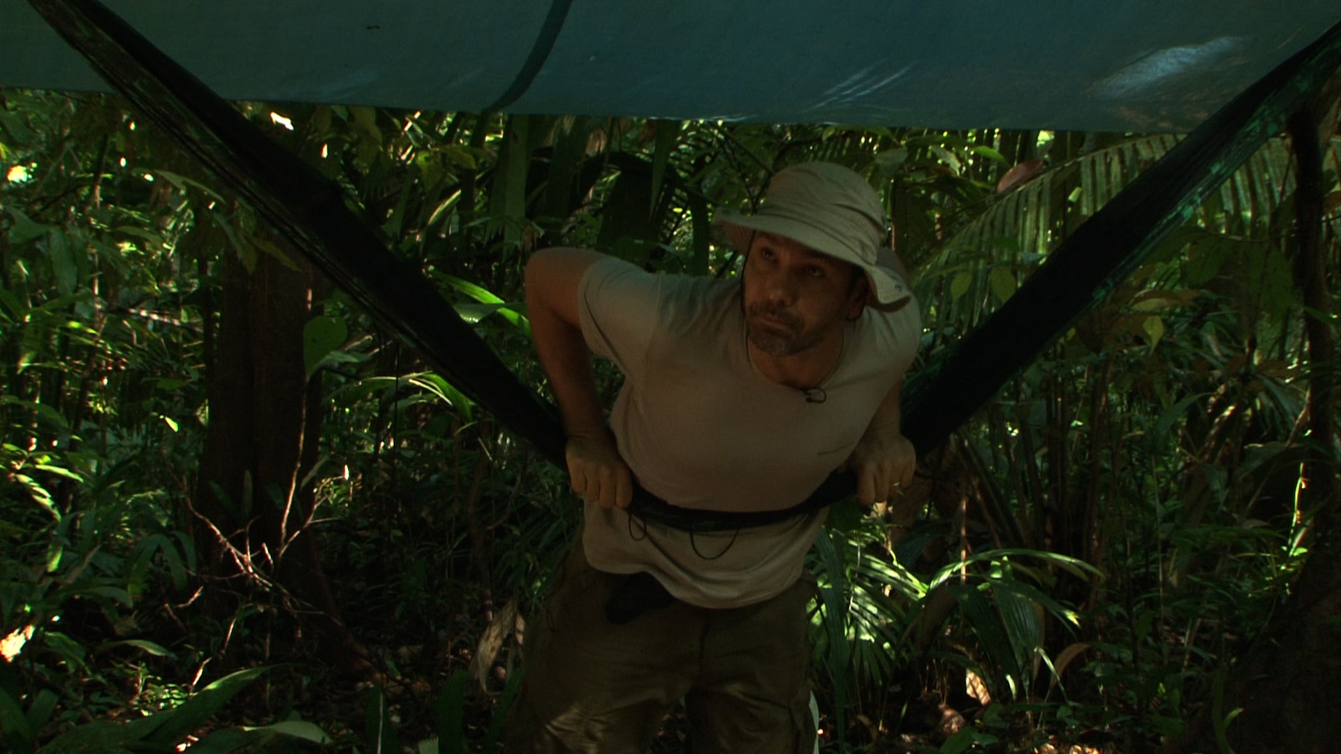 D'une jungle à l'autre Films Visions du Réel