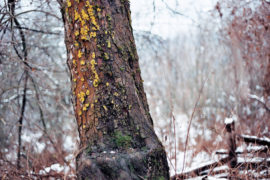 Film still of the film Village without women, directed by Srdjan Sarenac, Visions du Réel 2012