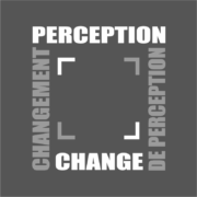 perception changement project