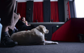 Assis au premier rang, un spectateur avec un handicap visuel assiste à une projection lors du festival Visions du réel en 2015. Son chien guide d’aveugle est couché à ses pieds.