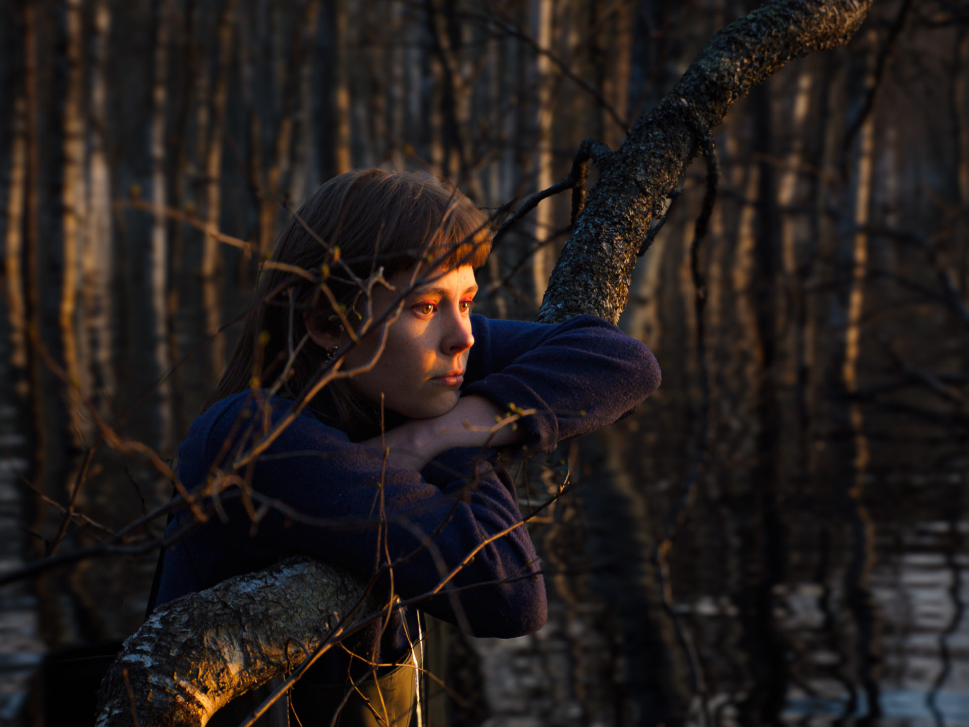 Once Upon a Time in a Forest – Films – Visions du Réel