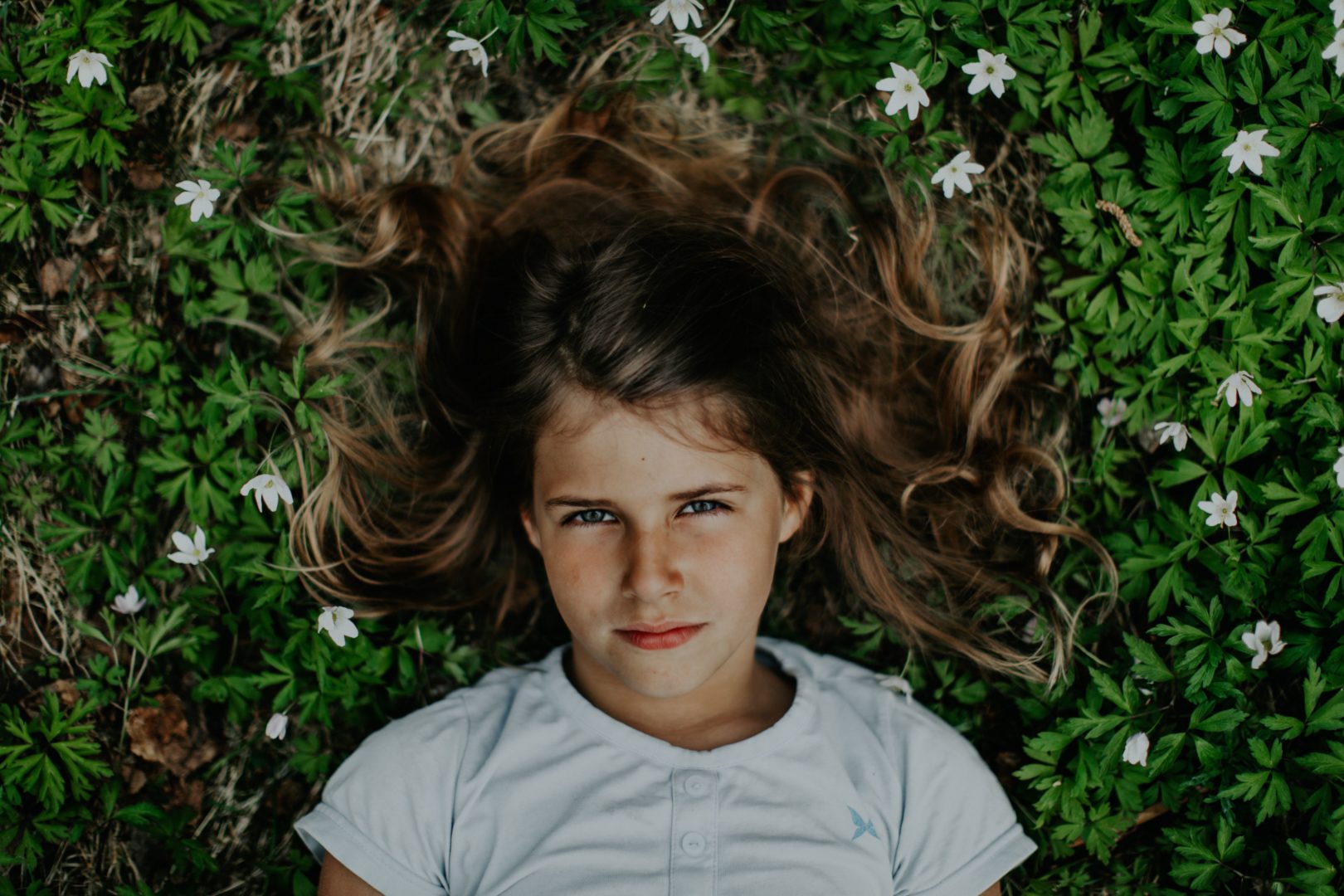 A New Kind of Wilderness – Films – Visions du Réel