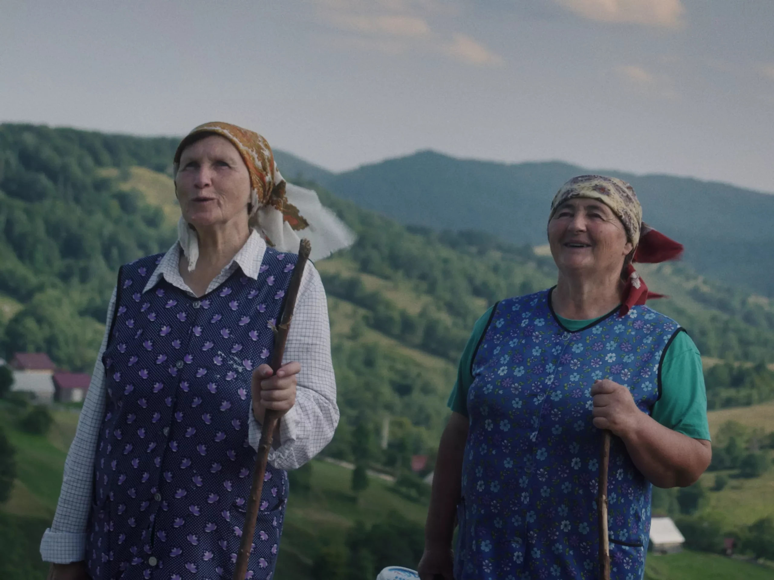Double trouble – films – visions du réel
