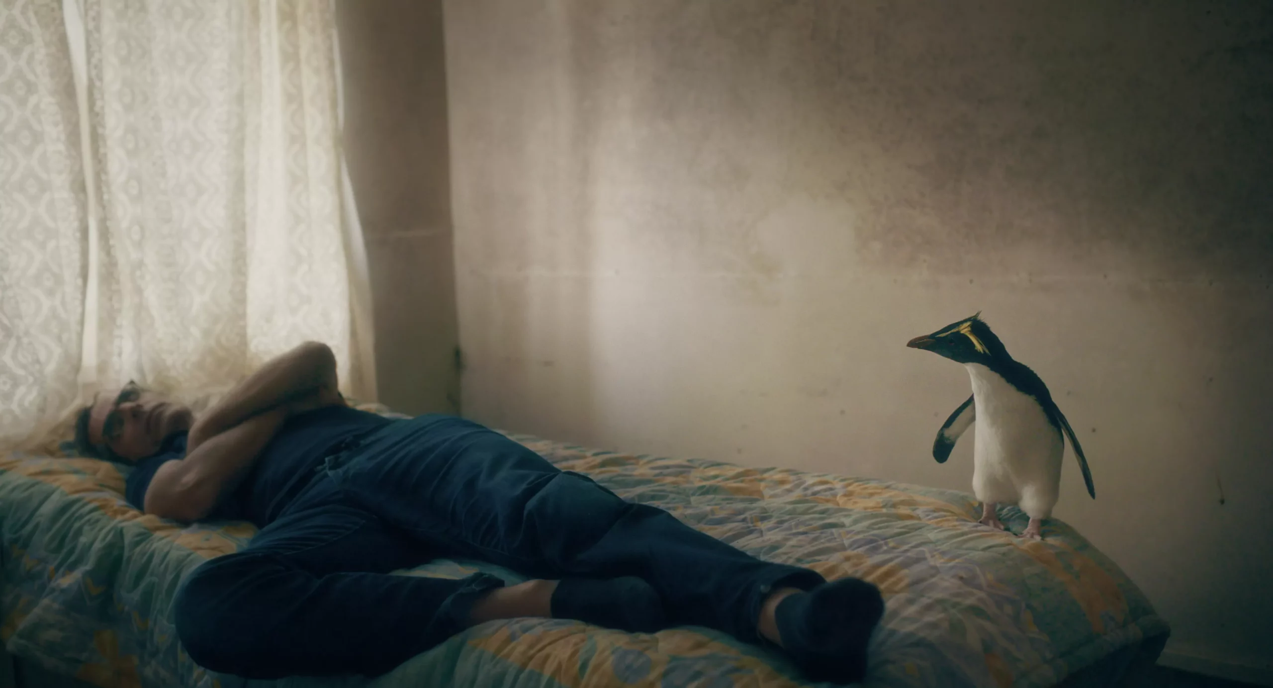 Dies Natalis ‎– Tristan Tristan Forever – Films – Visions du Réel